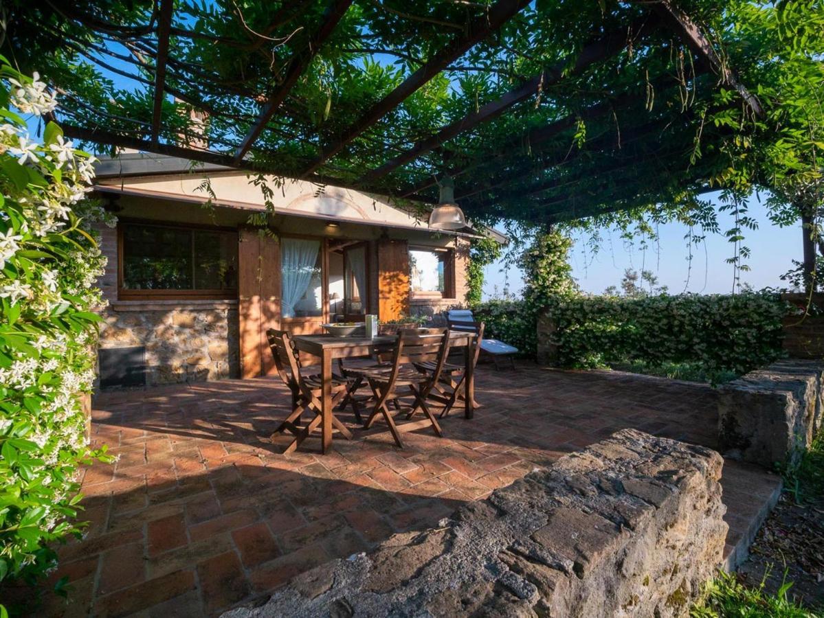 Podere Le Mezzelune Bibbona Dış mekan fotoğraf