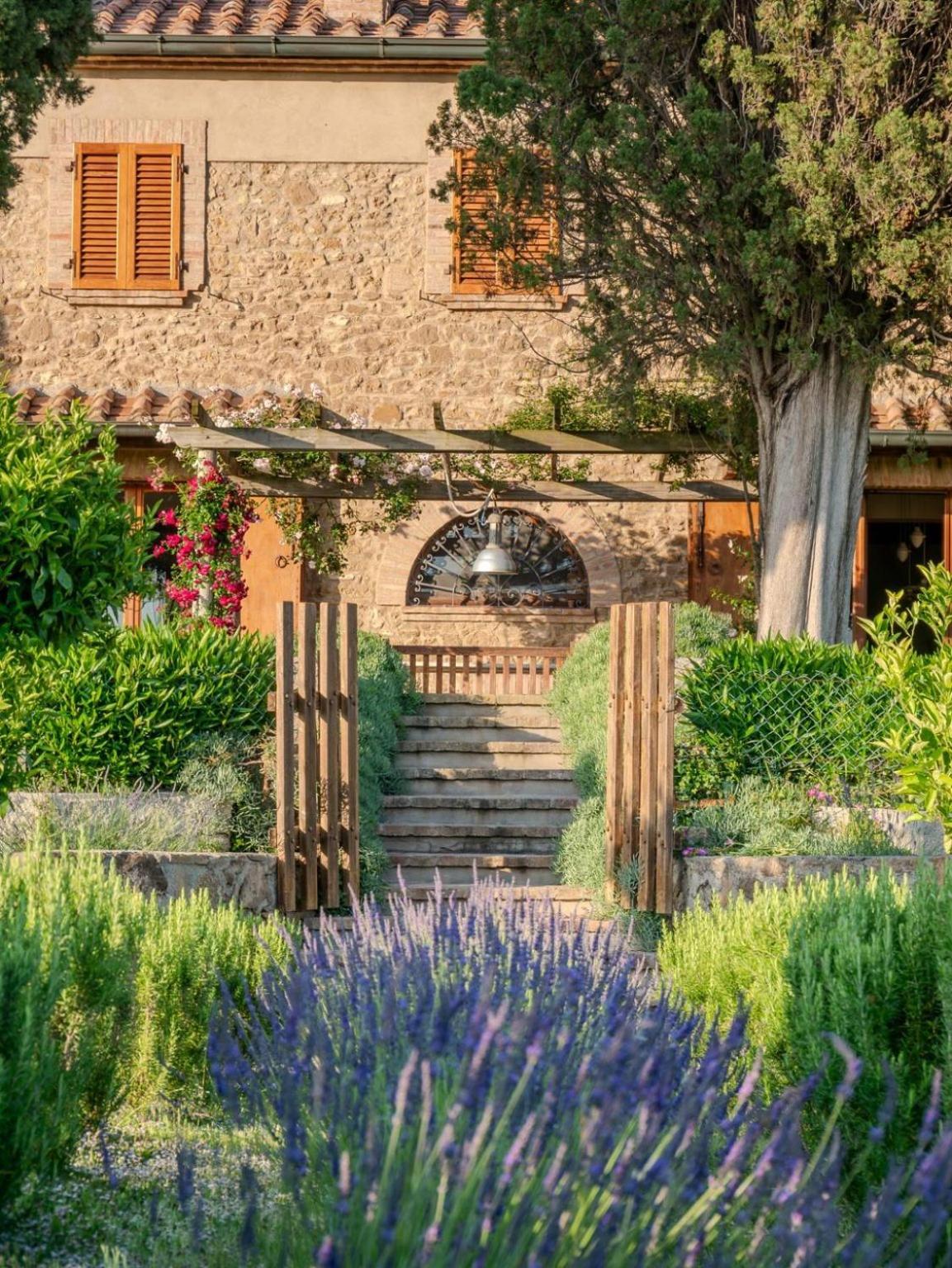Podere Le Mezzelune Bibbona Dış mekan fotoğraf