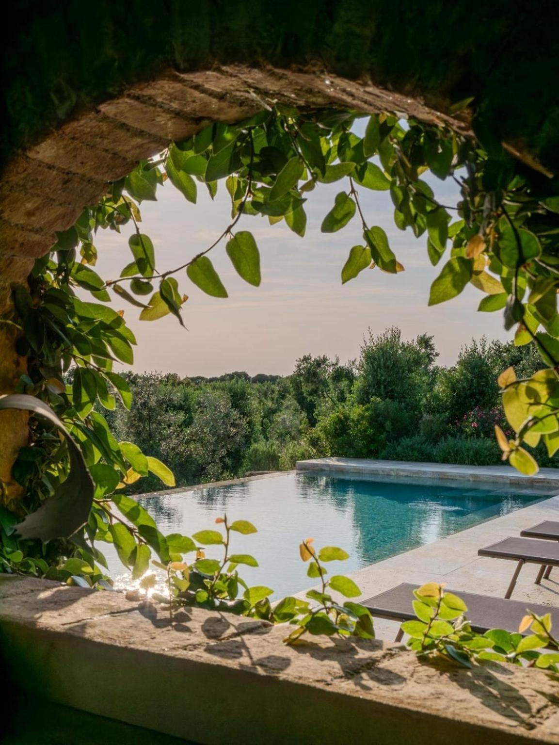 Podere Le Mezzelune Bibbona Dış mekan fotoğraf