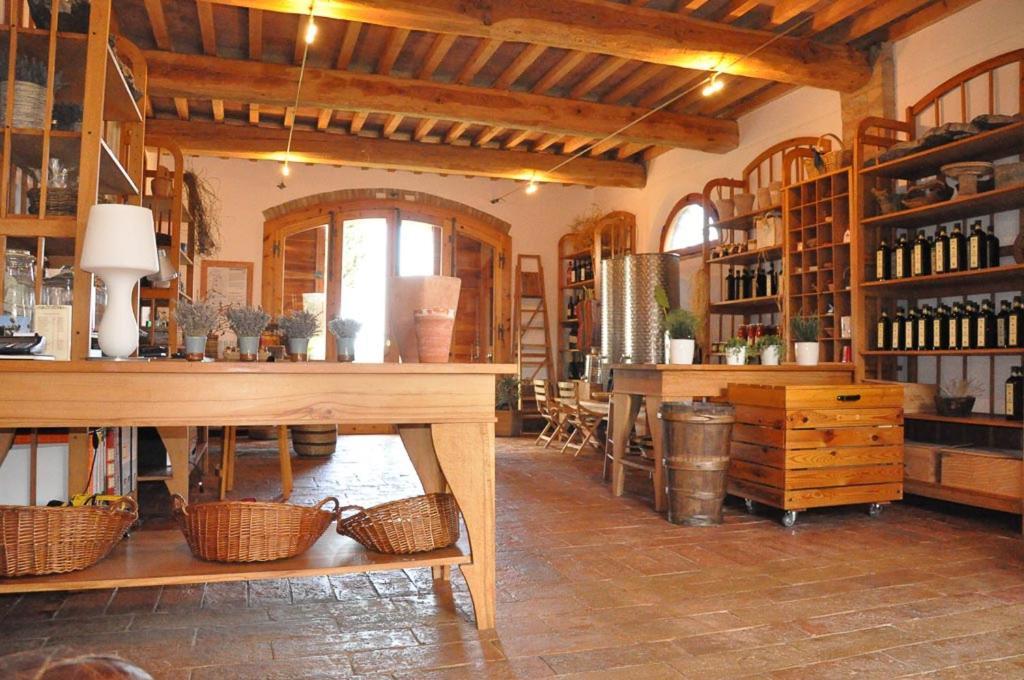 Podere Le Mezzelune Bibbona Dış mekan fotoğraf